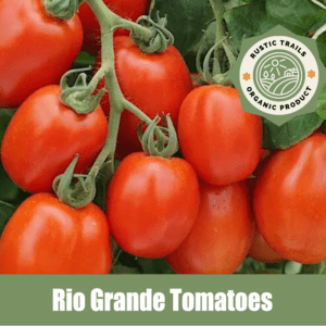 Rio Grande Heirloom Tomato